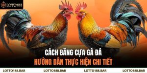 Cách Băng Cựa Gà Đá – Hướng Dẫn Thực Hiện Chi Tiết