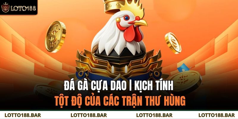 Đá Gà Cựa Dao | Kịch Tính Tột Độ Của Các Trận Thư Hùng
