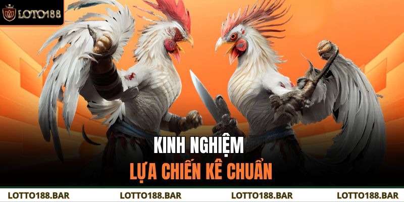 Kinh nghiệm lựa chiến kê chuẩn