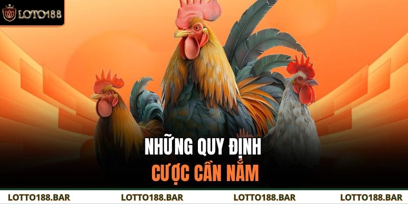 Những quy định cược cần nắm